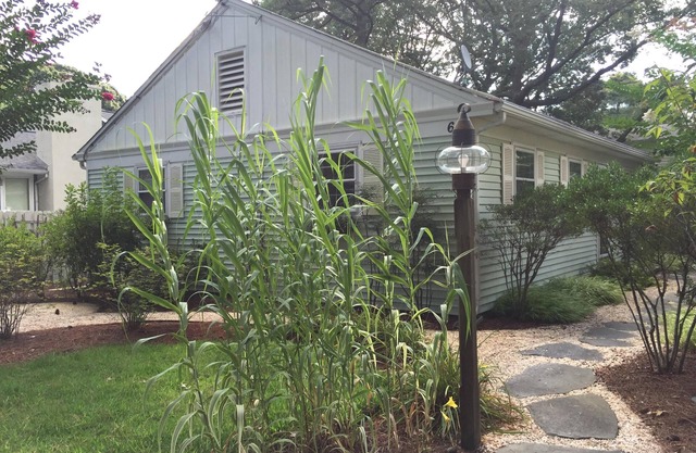 Rehoboth Beach Cottage - 2 cuadras de la playa