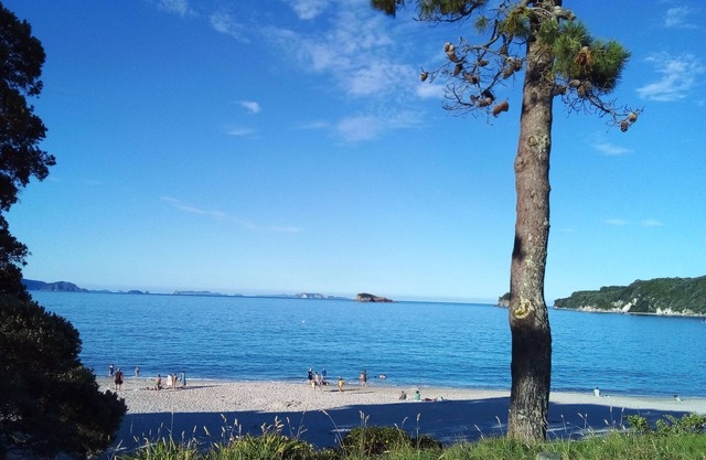 Relax a short walk away from Hahei beach