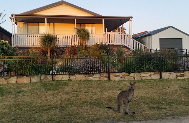 Relájate y disfruta un poco de santuario en Jervis Bay