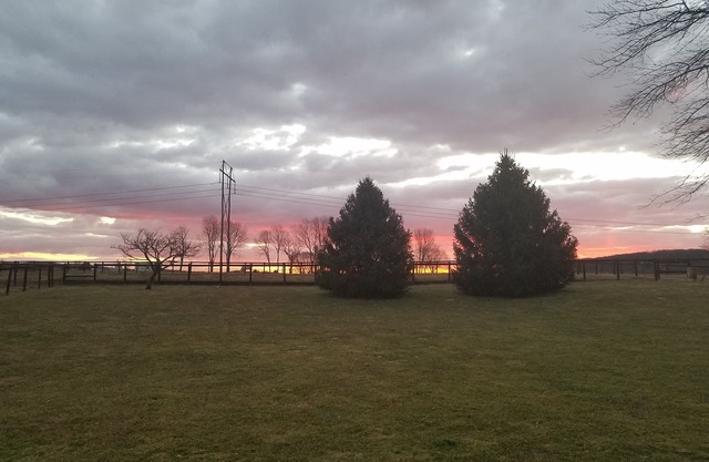 Amanecer en Wilson ~~~
