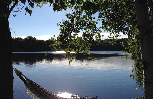 Relajarse en el lago crescent