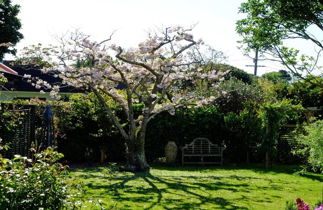 Relájate en un tranquilo retiro de jardín