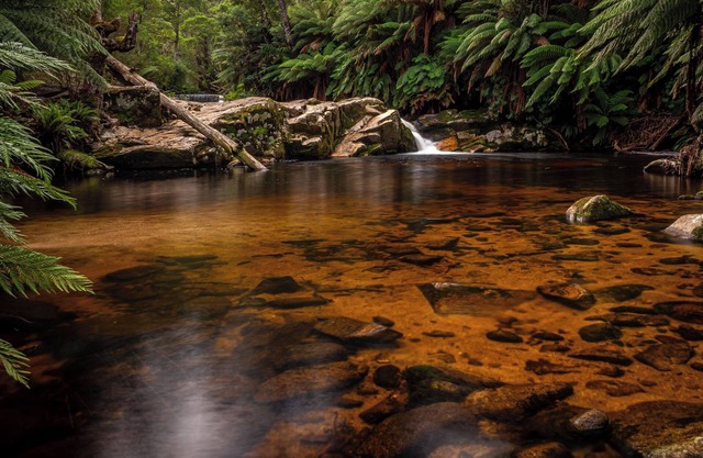 Relax in stunning private gardens and explore Tasmania's North East