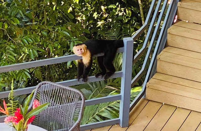 Relaxed, unplugged, Costa Rican-style comfort with a beach access