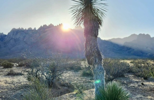 Relaxed Valley Living