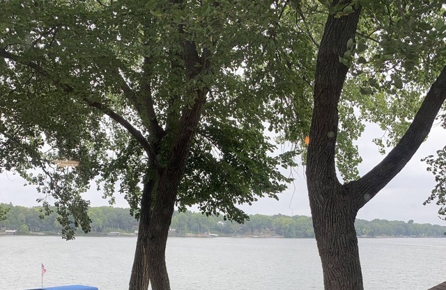 Relaxing cabin retreat with captivating lake views, located in Clear Lake, MN!