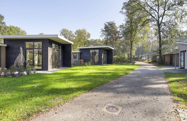 Relaxing Forest Hideaway