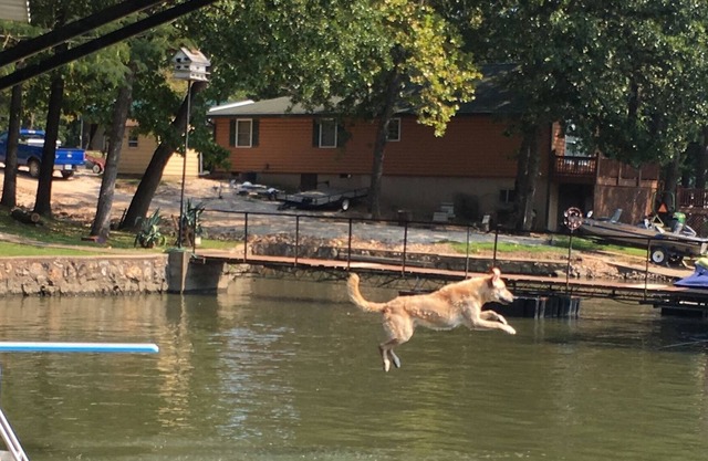 Relaxing pet friendly lake front home with large swim dock with 24' boat slip