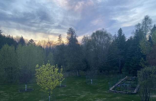 Relaxing retreat in the woods