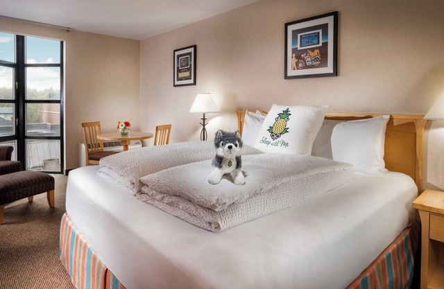 Relaxing Seattle Room Ideal for Exploring | Free Parking
