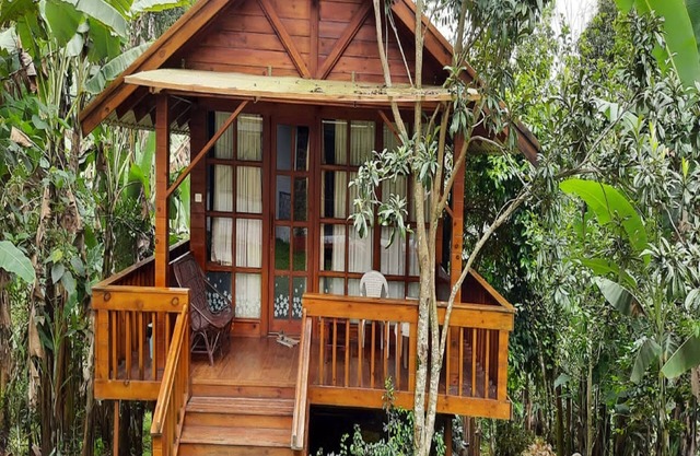 Remas Resorts Adventure Park
