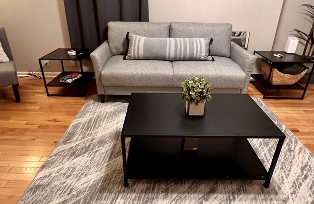 Remodeled 3BD/2BA Home close to MSU/Spartan Stadium