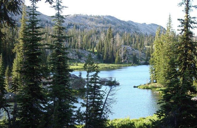 REMOTO Cabaña privada en el lago de montaña