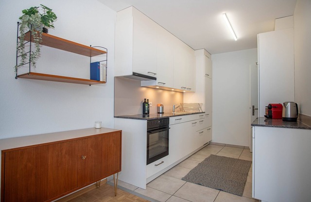 Renovated Designer Studio in Central Basel with free BaselCard