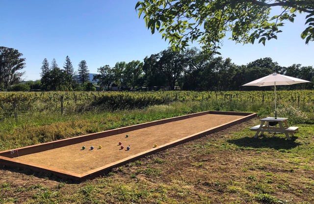 Renovated farmhouse with vineyard views, bocce ball court, Ping-Pong, basketball