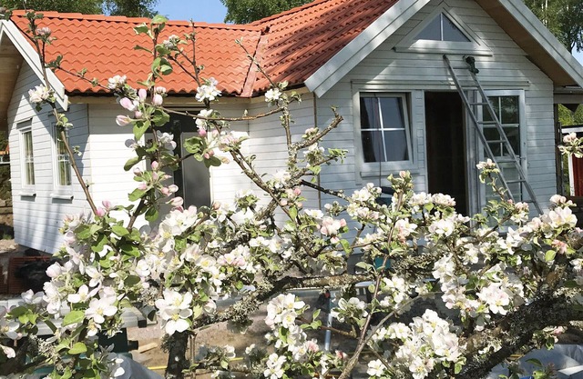 Renovated nice cottage located outside Värnamo and only 30 meters from the lake Flåren |SE07055