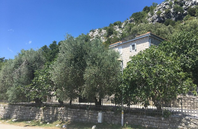 Rent a room in Stonehouse Danilo