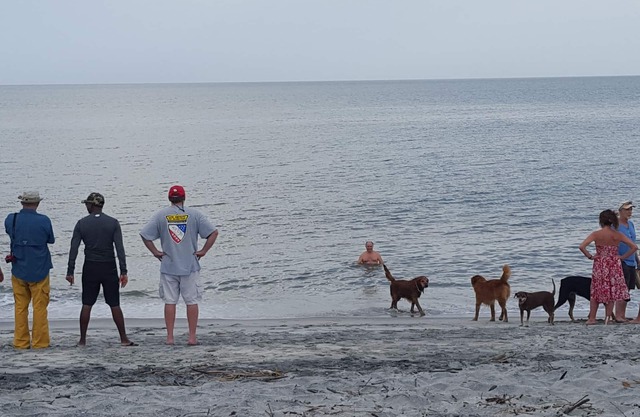 Alquile una habitación en una mansión privada en la playa de Punta Chame