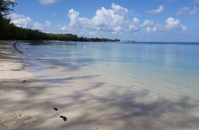Alquile un piso con cocina a 250 m de Trou aux biches y a 500 m de la playa de MonChoisy