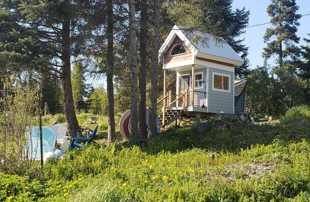 Repurposed Playhouse with room for 2!