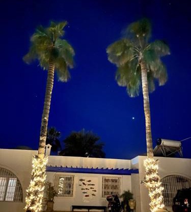 RESIDENCE DAR YASMINa