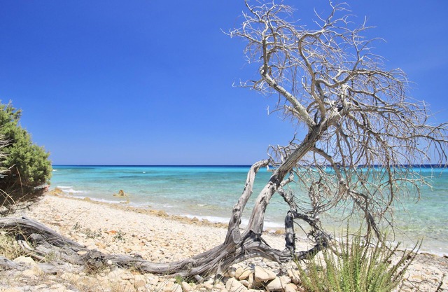 Residence in Orosei 3 km from the sea