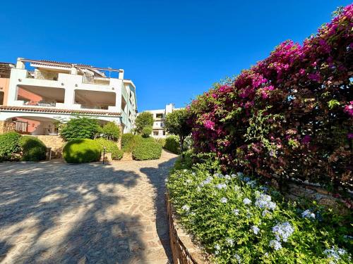 Residence with swimming pool in Porto Rotondo, apartments with air conditioning and private outdoor area