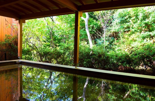 Resort apartment with natural hot spring and sauna - ViVi Atami Shizengo 3001 / Atami Shizuoka