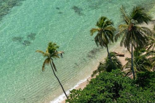 Resort Villas | 2 hab con piscina y playa