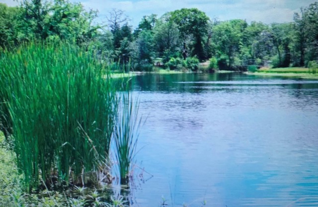 Retreat Center, sleeps 60, with 20 people minimum - 50 a day, per person