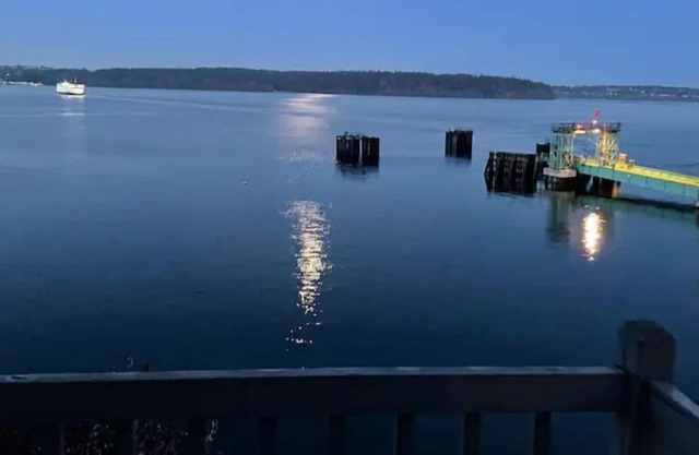 Revitalizing Home on Vashon