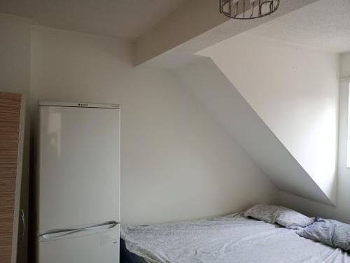 Rex gaf