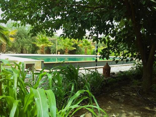 RIAD AMAN SKOURA