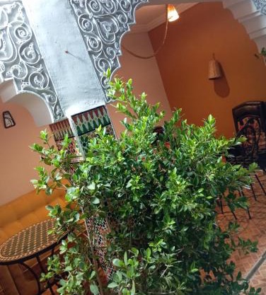 Riad Sun Medina Terrace