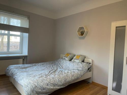 Riga Apartment near City Centre