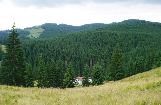 Rija Land, un refugio rural en las montañas de Bucovina