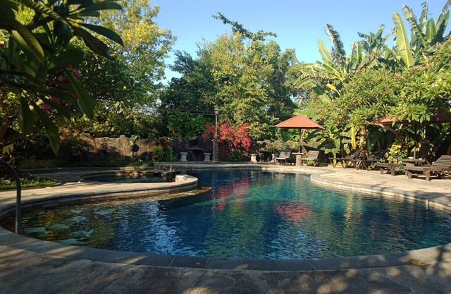 Rini Hotel