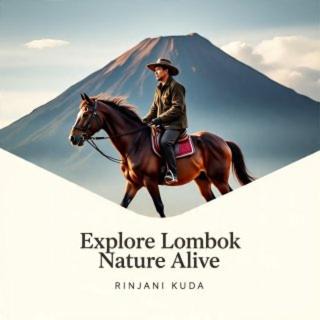 Rinjani Horse Riding BaseCamp