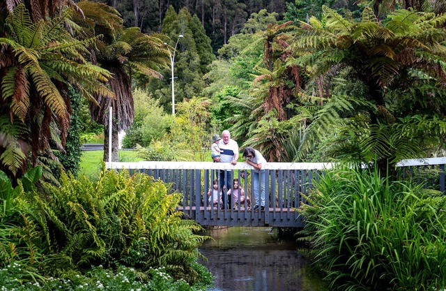 Ripple Rotorua