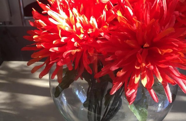 Rivadavia San Juan casa en alquiler cotización oficial