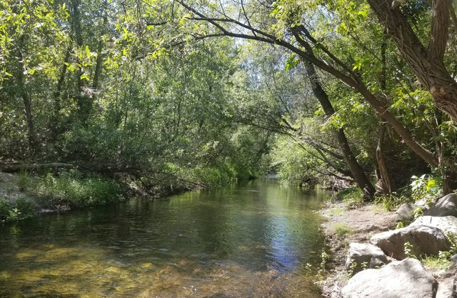 River-front Mid-century home + acreage: Gated flat private personal sanctuary!