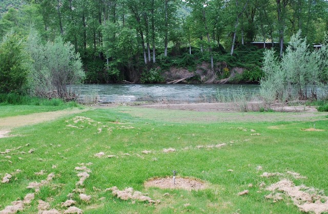 River House en el hermoso río Rogue
