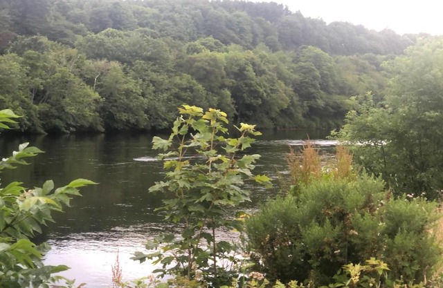River Ness View
