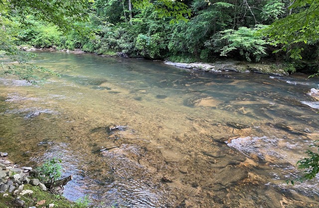 River Retreat on the Nottely river in Blairsville, GA. Fishing&Hiking Lic#033210