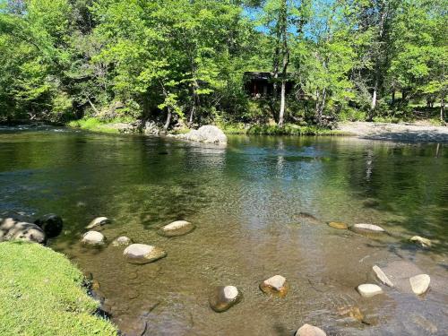 River Run #539