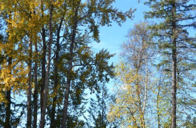 River's Edge Retreat | RV Site 2