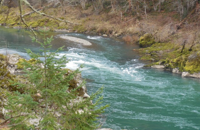 River Vista, Maple Inicio