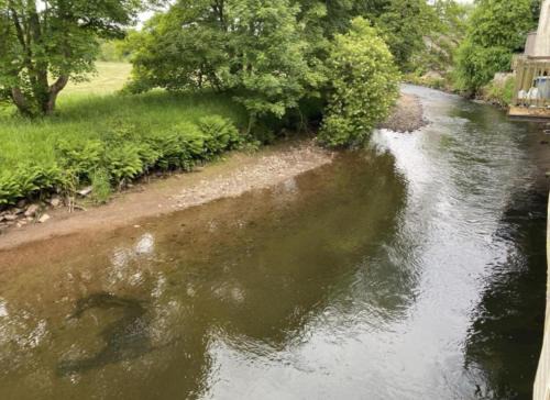 Riverbank Cottage River Ehan Double Balcony