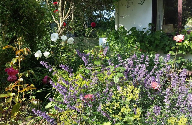 Riverfield Bed and Breakfast