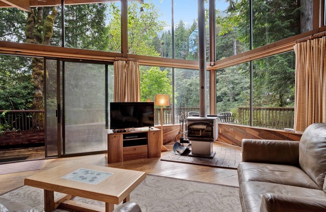 Cabina amigable para perros con elevadas vistas de las montañas y jacuzzi privado!